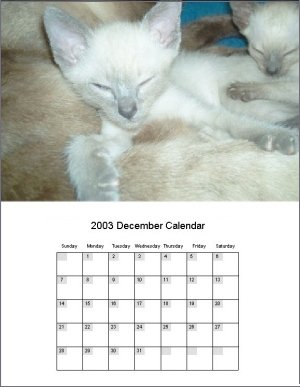 Calenders Print on Calendars Design Software   Printable Calendar 2006 Printable Calendar